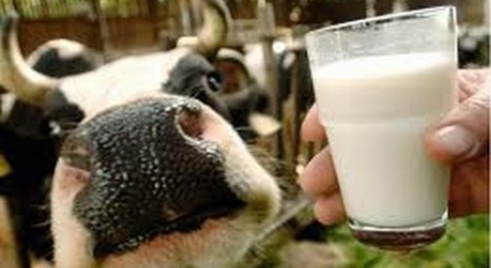 Fazekas Sándor: jelentősen nő jövőre az állattartók és tejtermelők támogatása