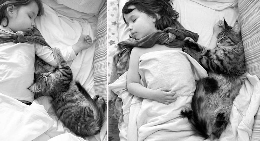 Szívet melengető kapcsolat egy autista kislány és macskája között