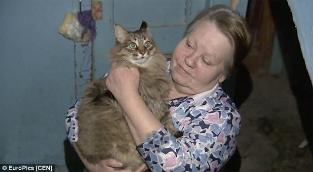 Kóbor macska mentette meg az újszülöttet a fagyhaláltól