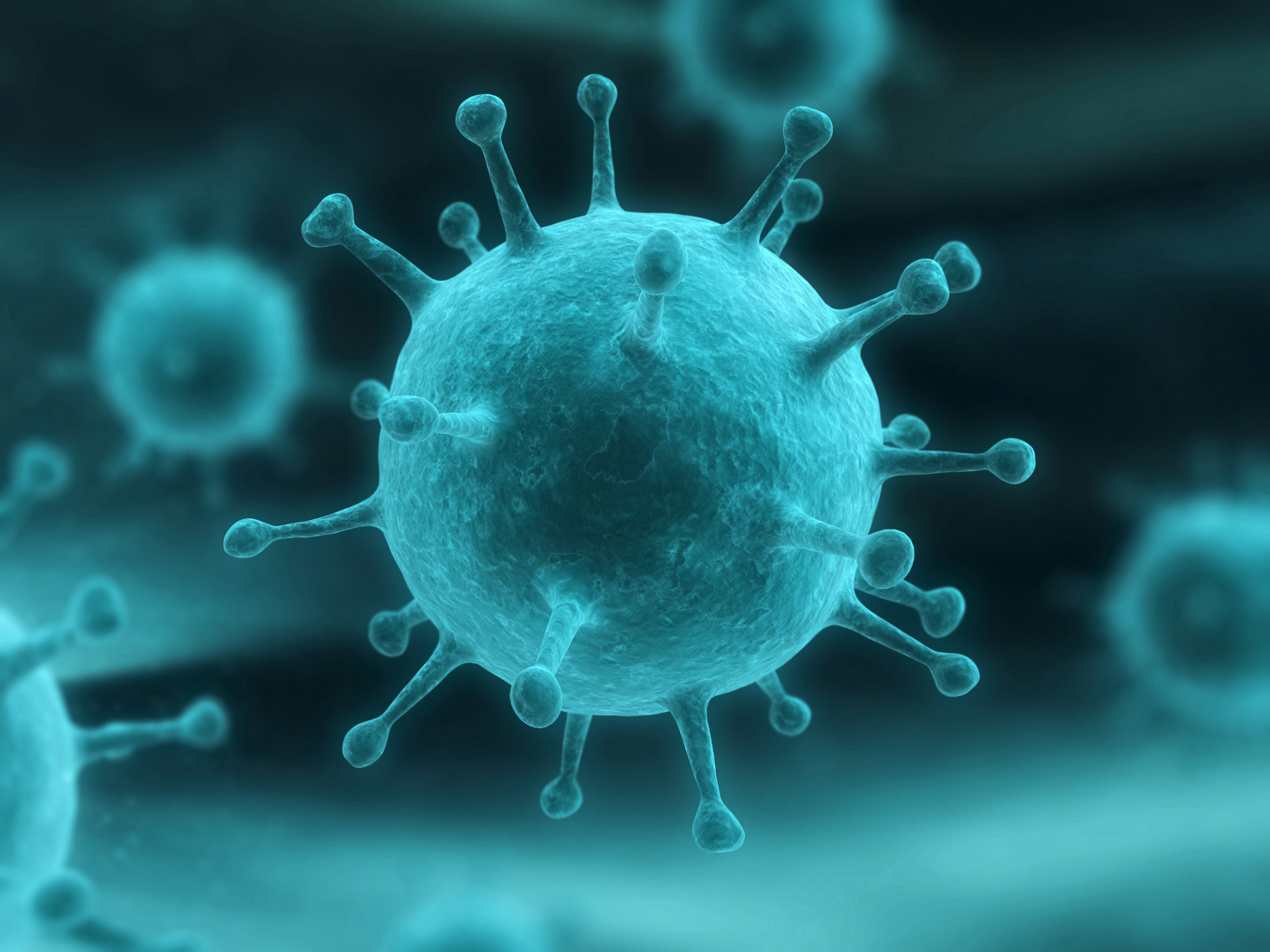 Influenza - Az A vírus okozta a szekszárdi diákok megbetegedését