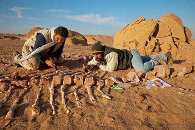Ősi bálnák maradványait rejti a sivatag – Wadi El-Hitan
