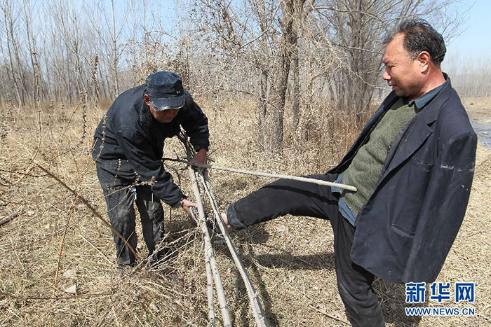 Egy vak férfi félkarú barátjával 10 ezer fát ültetett Kínában
