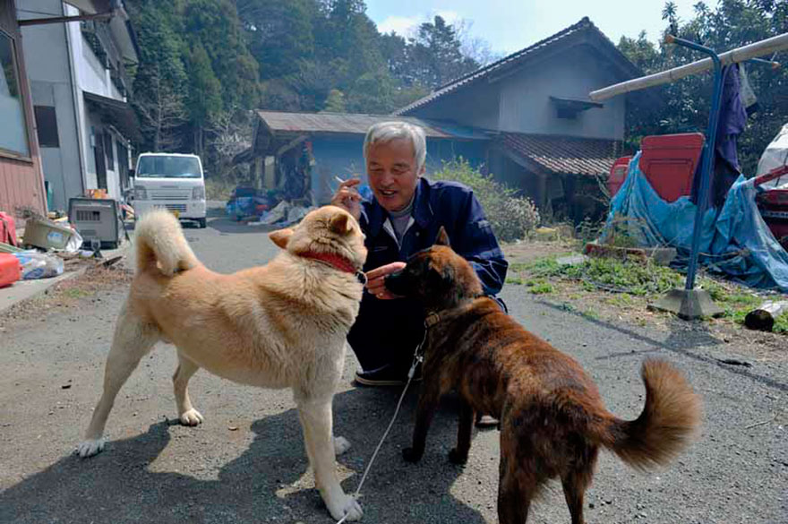 Egy férfi visszatért a radioaktív Fukushimába, hogy az állatokat gondozza