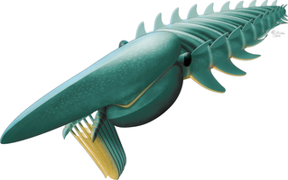 Egy 480 millió éves tengeri őslény segít feltárni az ízeltlábúak eredetét