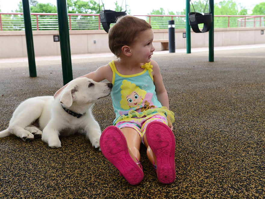 Megható! Az amputált lábú 3 éves kislány örökbe fogadta a mancs nélküli kutyust - videó
