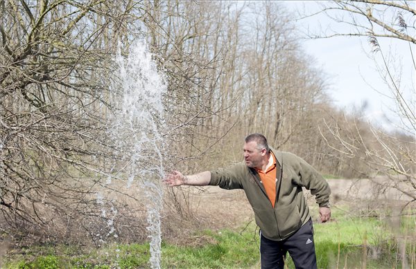 Értékes termálvíz folyik el felhasználatlanul Győrszemere határában
