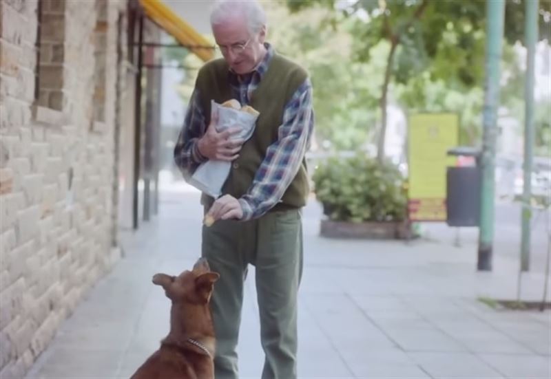 Fájdalmas, mégis megható videó a kutya ember iránti örök hűségéről