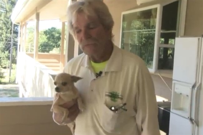 Kiskutyáját mentette meg az éhes medvétől a bácsi - videó