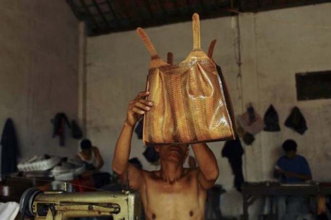 Így készítik a kígyóbőr táskát Indonéziában