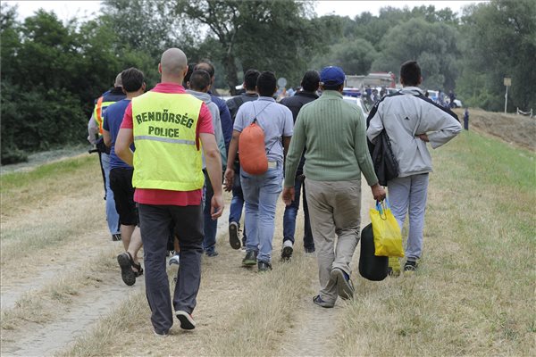 Illegális bevándorlás - Csaknem nyolcszáz határsértőt fogtak el Csongrád megyében