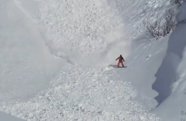 Nyúl, aki képes egy lavina tetején futni- videó