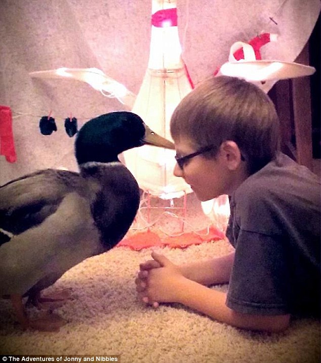 Egy kisfiú és egy kacsa különleges barátsága