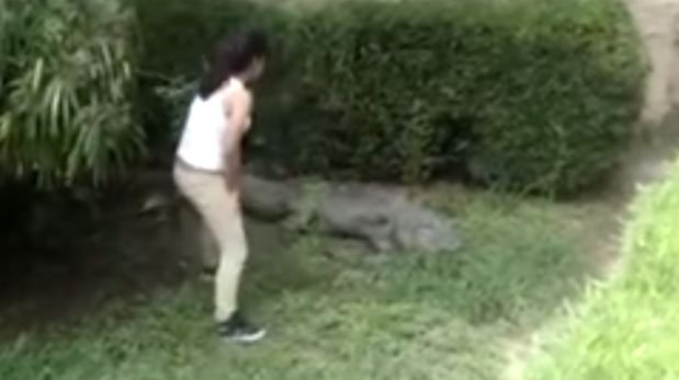 Állatkerti krokodilokhoz mászott be a lökött fiatal nő – videó