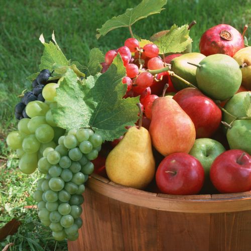 Kiegészítő nemzeti támogatást kapnak a zöldség-gyümölcs termelői szervezetek