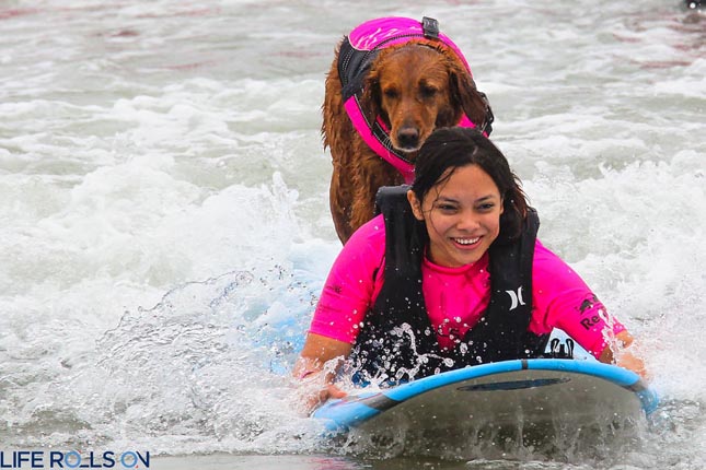 Szörföző terápiás kutyus segít a betegségben szenvedő embereknek - videó