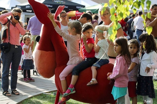 Szamárfül - Kezdődik Pécs nyárbúcsúztató családi fesztiválja