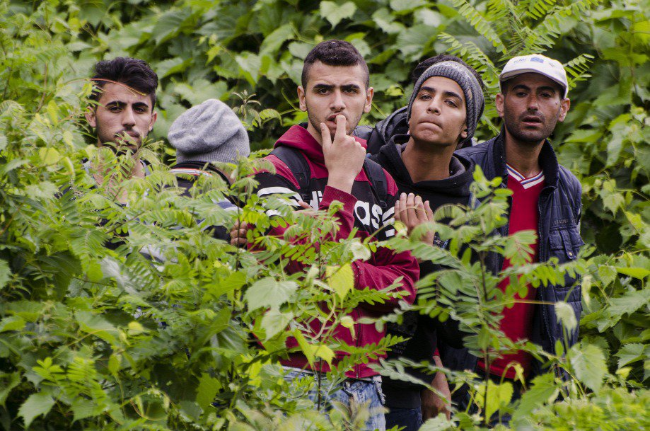 Illegális bevándorlás - A rédicsi határátkelőnél nyitottak a szlovénok befogadóállomást