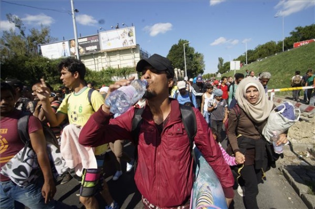 Illegális bevándorlás - Kétszáz migráns gyalog indult Bécs felé Vámosszabadiból (2. Rész)