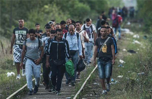 Illegális bevándorlás - Könnygázt vetettek be a Horgos 2 átkelőnél