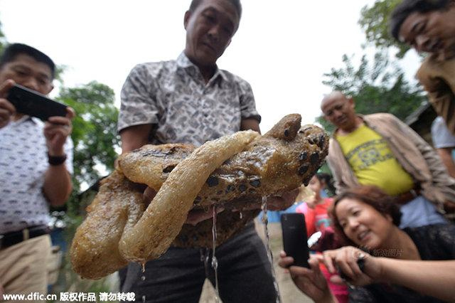 Fura alienszerű lényt fogott ki a kínai halász