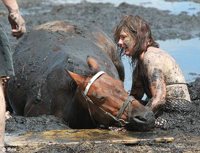 Órákig küzdött sárba ragadt lova életéért egy önfeláldozó nő