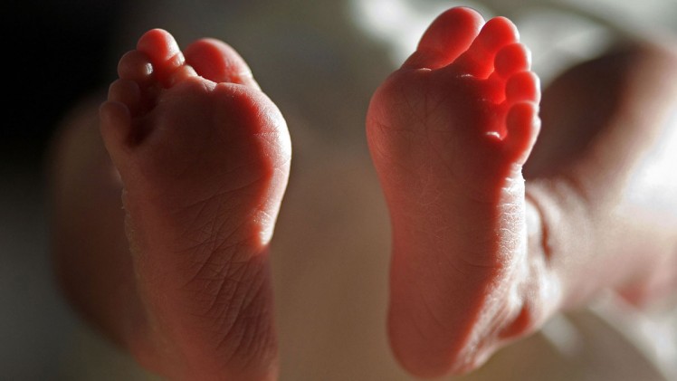 Megható videó: újszülött ikrek első találkozása egymással