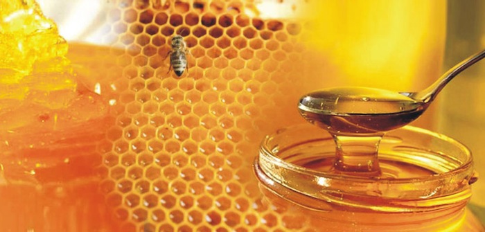Főállatorvos: növekszik a magyarországi mézfogyasztás