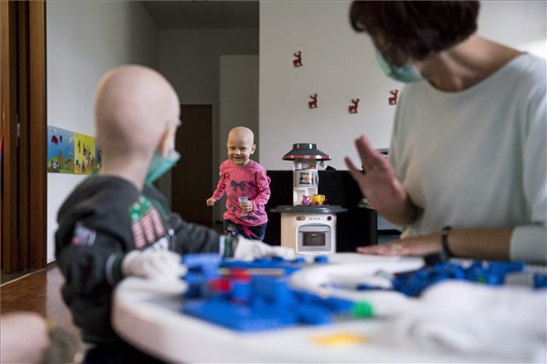 Fotókiállítással gyűjtenek a daganatos gyerekek átmeneti otthonára
