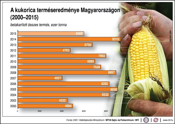 Betakarították a kukorica 92 százalékát Zala megyében