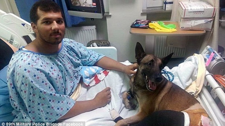 Gazdája mellett hősként tüntették ki az Afganisztánban megsérült kutyát