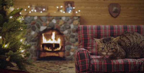 Egy órás videó egy macskával és tűzropogással- beteszed karácsonyra?