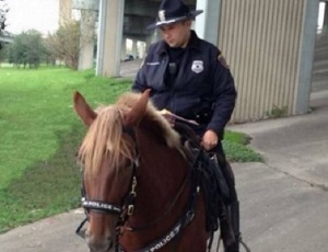 Utcán siratta az elpusztult lovát a rendőr (Kép!)