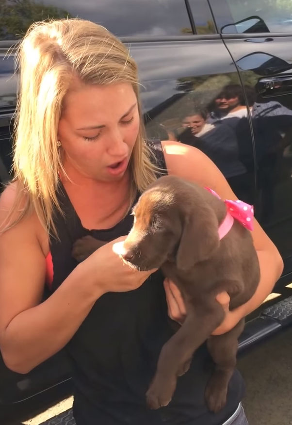 Videó! Egy srác kiskutyával kérte meg barátnője kezét
