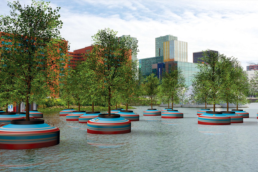 Úszó fák Rotterdam új különlegességei
