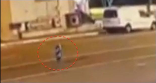Ismeretlen lény bolyongott egy török város utcáin – videó