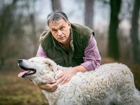 Majdnem holtra verték Orbán Viktor kutyáját