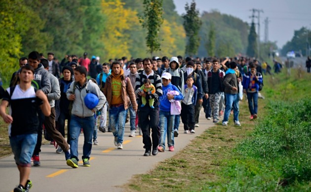 Kiskorú migránsok mobilját kobozták el a dán rendőrök