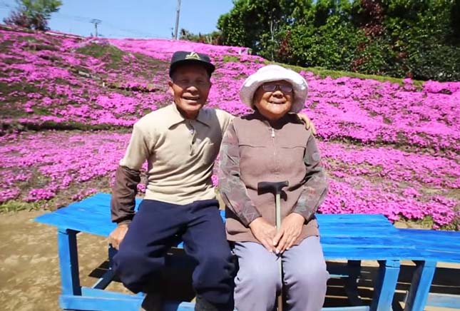 Virágot ezreit ültette a japán férfi, hogy felvidítsa megvakult feleségét