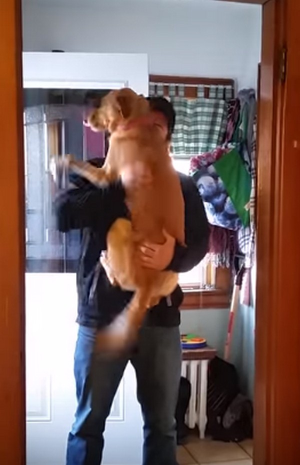 A világ legboldogabb kutyusa- videó