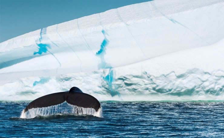 Túl a jégpáncélokon - utazás Grönland egyedülálló világába