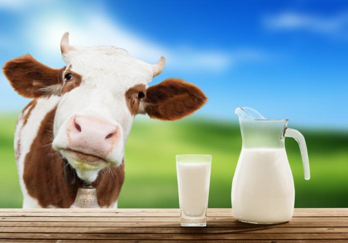 EP-képviselők kötelezővé tennék a tej- és hústermékek származási helyének feltüntetését