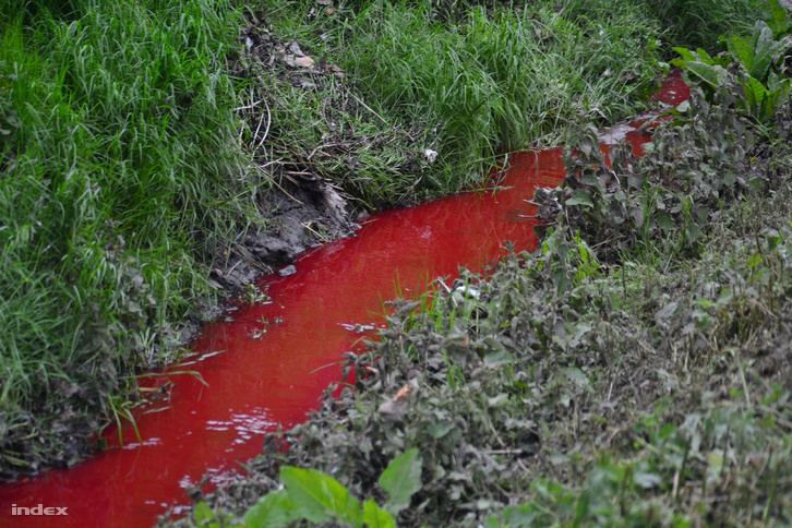 Élénkvörös vér folyik a Tapolca-patakba - fotók