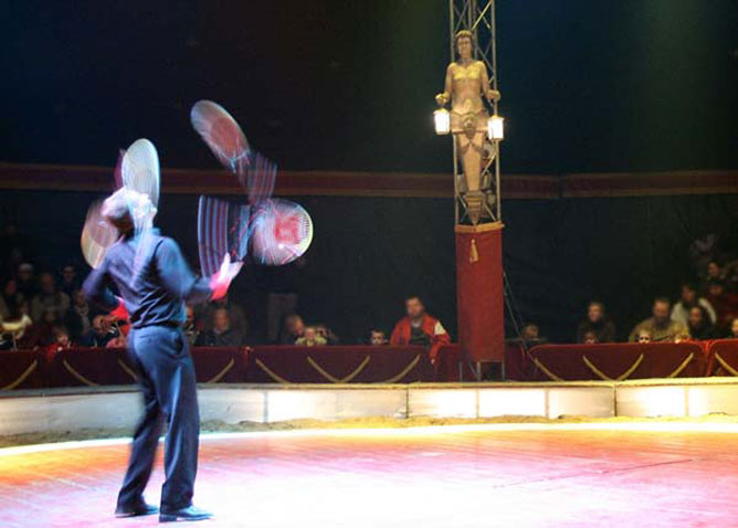 Jótékonysági cirkuszelőadás segíti a nyugdíjas artistákat