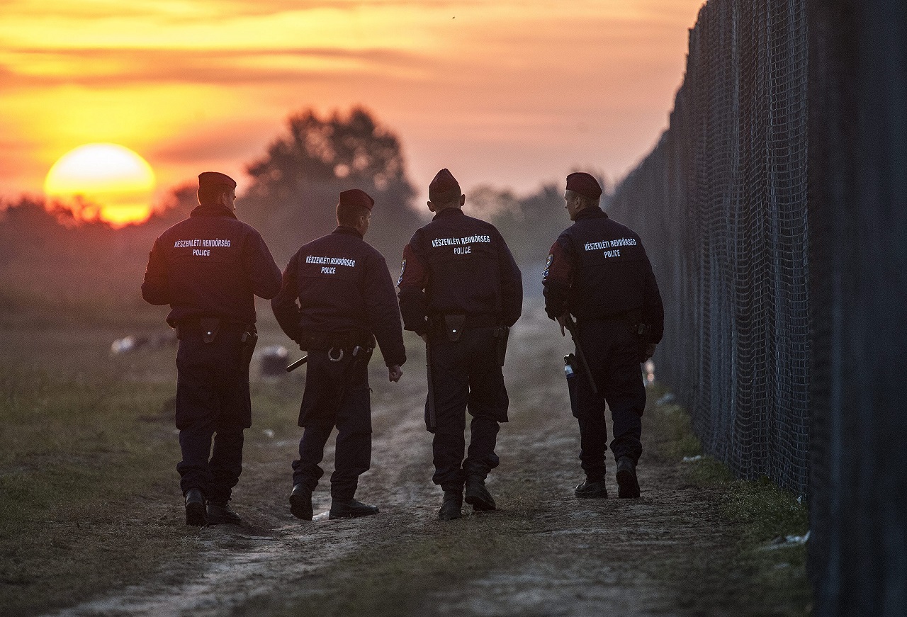 Interjú a migránsokkal a magyar-szerb határ dzsungeléből!