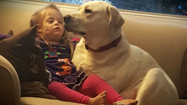 Távolról is megmentette a beteg kislány életét a hős segítő kutya