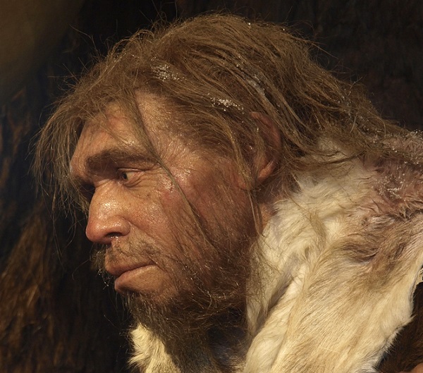 Nem tudtak kabátot készíteni, azért halhattak ki a neandervölgyiek