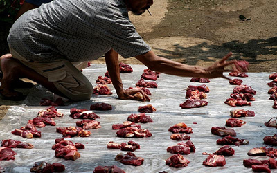 Muszlimokat gyilkoltak meg Indiában marhahúsfogyasztás miatt