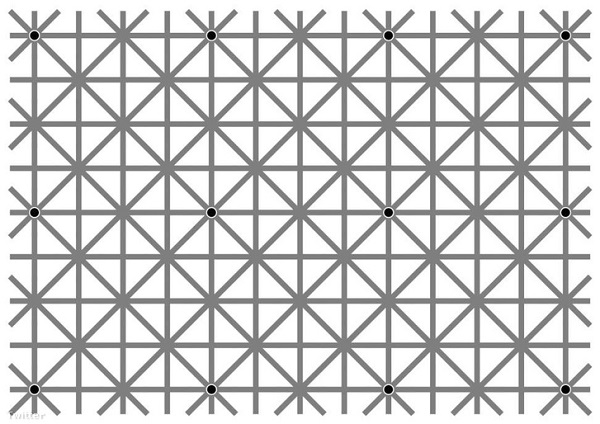 Optikai illúzió: 12 fekete pötty van a képen, de egyszerre soha nem láthatod őket