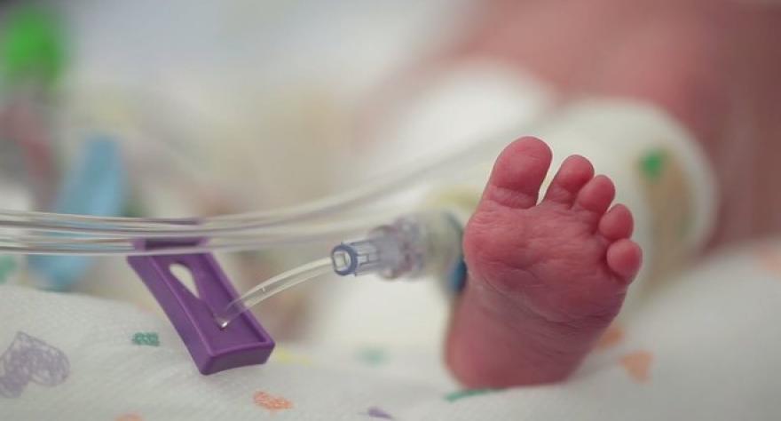 Szívszorító utolsó fotó a 7 naposan elveszített koraszülött ikerbabáról