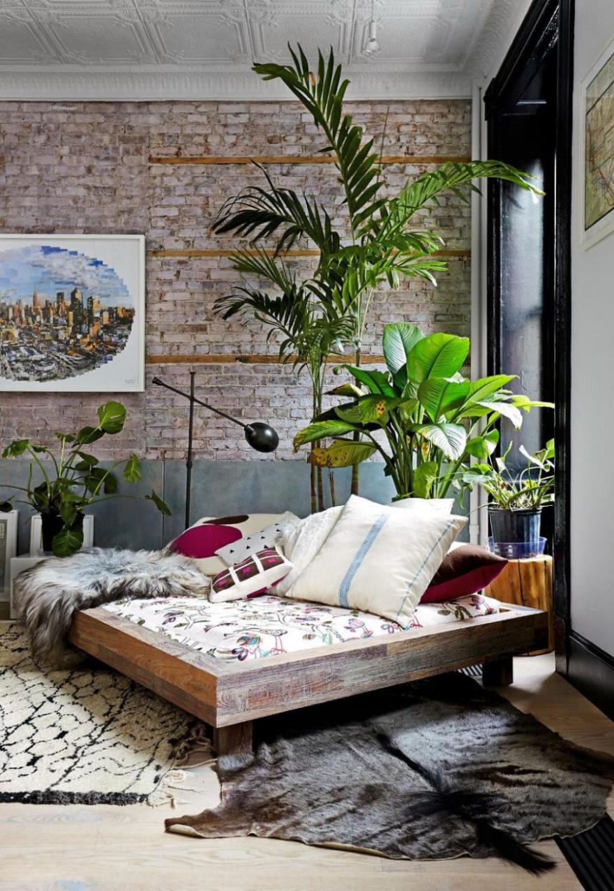 Modern és stílusos növény dekorációk a lakásban